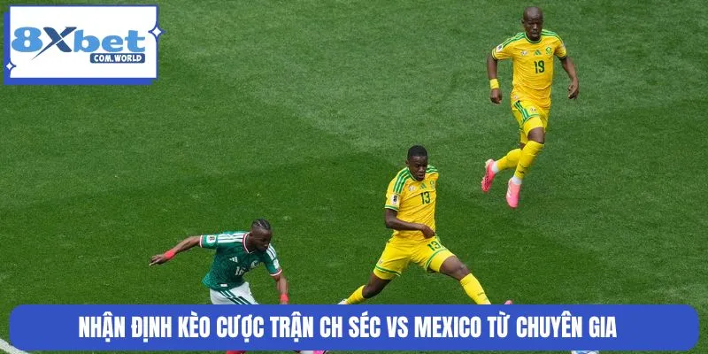 Nhận Định Trận CH Séc vs Mexico World Cup 25/06 08:00 8XBET 3 Kèo cược trận đối đầu được cập nhật mới nhất tại 8XBET