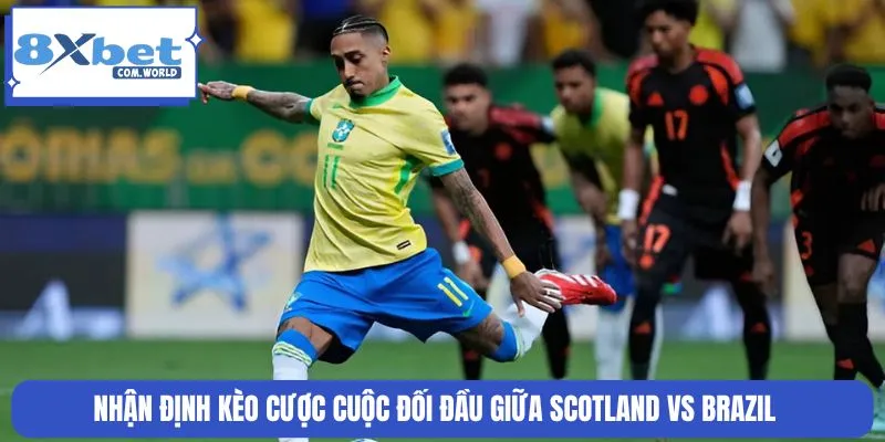 Soi Kèo Scotland Vs Brazil World Cup 05:00 Ngày 25/06 8XBET 3 Cập nhật kèo cược màn đối đầu giữa Scotland và Brazil mới nhất