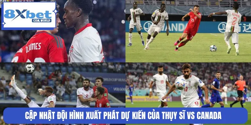 Soi Kèo Thụy Sĩ Vs Canada Bảng B World Cup 25/06 02:00 8XBET 2 Đội hình ra sân 2 đội gồm nhiều cầu thủ nổi tiếng góp mặt